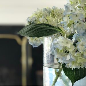 Meet your Posher, Charlie